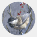 Search for chickadee stickers Black capped chickadee