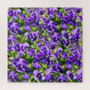 Search for pansy puzzles Flora