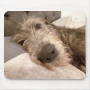 Search for wolfhound mousepads Irish