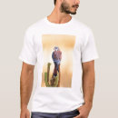 Search for falco tshirts Bird