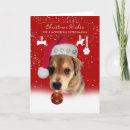 Search for veterinarian cards Cute