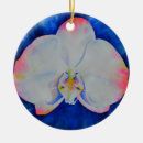 Search for white orchids ornaments Pink