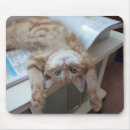 Search for baby mousepads No people