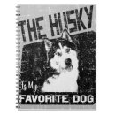 Search for huskies Sled