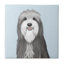 Search for collie tiles Dog