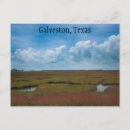 Recherche de marécages cartes postales Texas