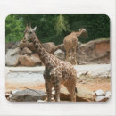 Search for cute giraffe mousepads Nature