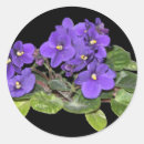 Search for african violet stickers Green