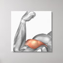 Search for ulna Healthcare