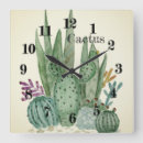 Recherche de cactus horloges Fleurs