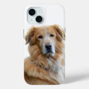 Recherche de golden retriever coques Dog