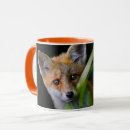 Search for fox in the woods mugs Woodland