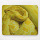 Search for burmese electronics Yellow
