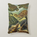 Search for tortoise pillows Reptiles
