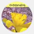 Search for outstanding stickers For kids