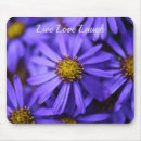 Search for asters electronics Purple aster
