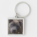 Search for staffy keychains Staffordshire