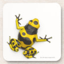 Recherche de grenouille dessous de verres Échelles