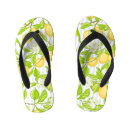 Search for branch shoes Illustration