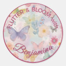 Search for pastel butterflies stickers Girl