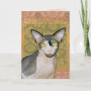 Search for sphynx cat cards Vintage