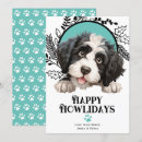 Recherche de portugais noël cartes Chien d'eau portugais