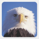 Search for eagle head stickers Patriotic