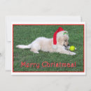 Search for golden christmas cards Cute