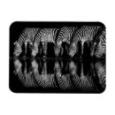 Recherche de plaine magnets Animal