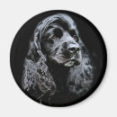 Search for cocker spaniel magnets Pet