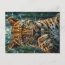 Search for leopard spots postcards Big cat