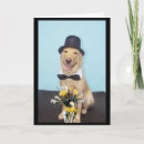 Search for formal birthday cards Funny