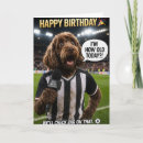 Search for funny football birthday cards Fan