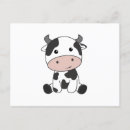 Recherche de vache bébé cartes postales Vaches