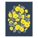 Search for cowslip Primula