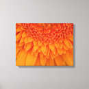 Recherche de horticulture art Botanique