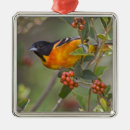 Recherche de orange metall ornamente Faune