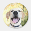 Search for lab” magnets Happy