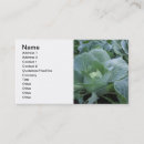 Recherche de plante naturel cartes visite Agriculture