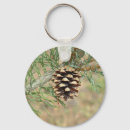 Recherche de cônes porteclés Nature