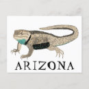 Search for desert animals postcards Arizona