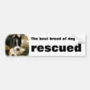 Recherche de animal familier voiture autocollants Chien