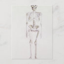 Search for australopithecus Primitive