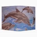 Search for jumping binders Dolphin