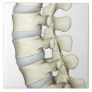 Search for 6x6 posters Work