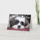 Search for dog valentines day cards I love you