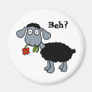Search for sheeps magnets For her
