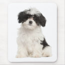 Search for havanese mousepads Puppy