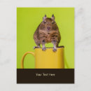 Recherche de agrumes cartes postales Mignon