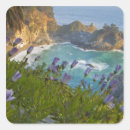 Search for pacific beach california stickers Scenic